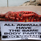 Image for article titled PETA's 'Too Fat for Plan B' Campaign Hits a Shitty New Low